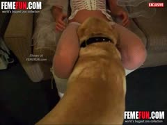 Amateur mom sniffed by dog and licked during webca video